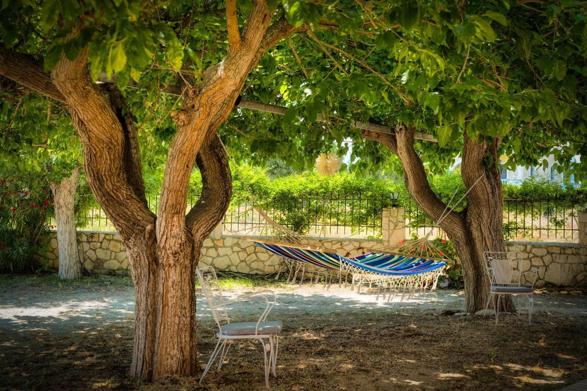Appartamento St. Harry'S Windmill Makris Gialos  Esterno foto